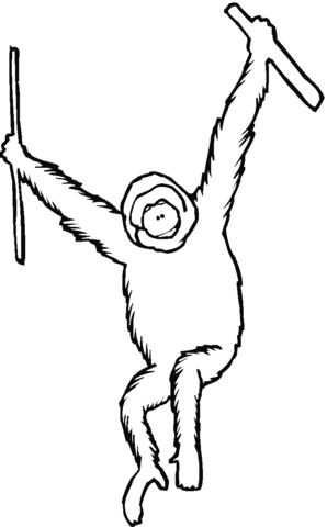 Orangutan Ape Coloring Page